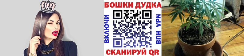 Магазины продажи наркотиков Мезень ГАШ Alpha-PVP КОКАИН АМФЕТАМИН Бошки Шишки Мефедрон