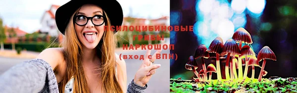 mdpv Горняк