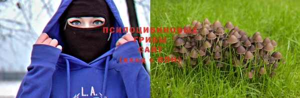 MDMA Вязьма