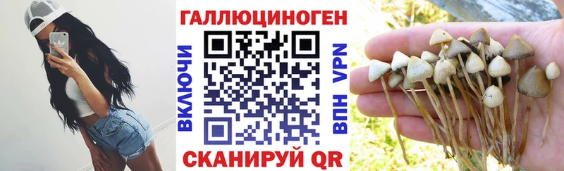 Галлюциногенные грибы GOLDEN TEACHER  как найти закладки  Мезень 